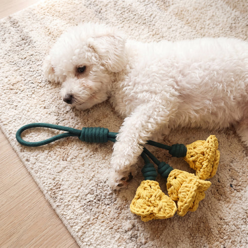 Miss Yellow: Daylily Tug Snuffle Tug Toy