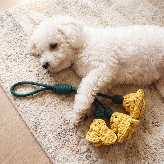 Miss Yellow: Daylily Tug Snuffle Tug Toy